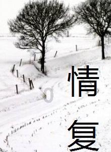 拍照还得看旗舰 2024影像旗舰就选这三台